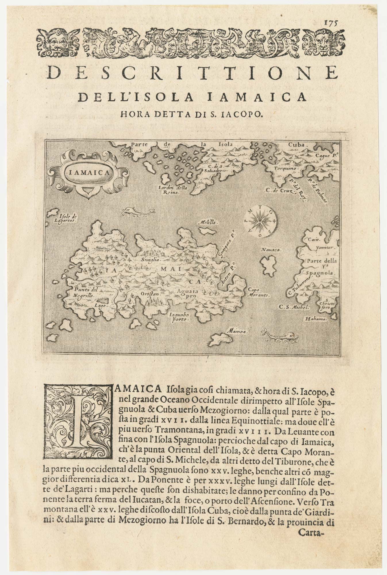 Porcacchi Jamaica