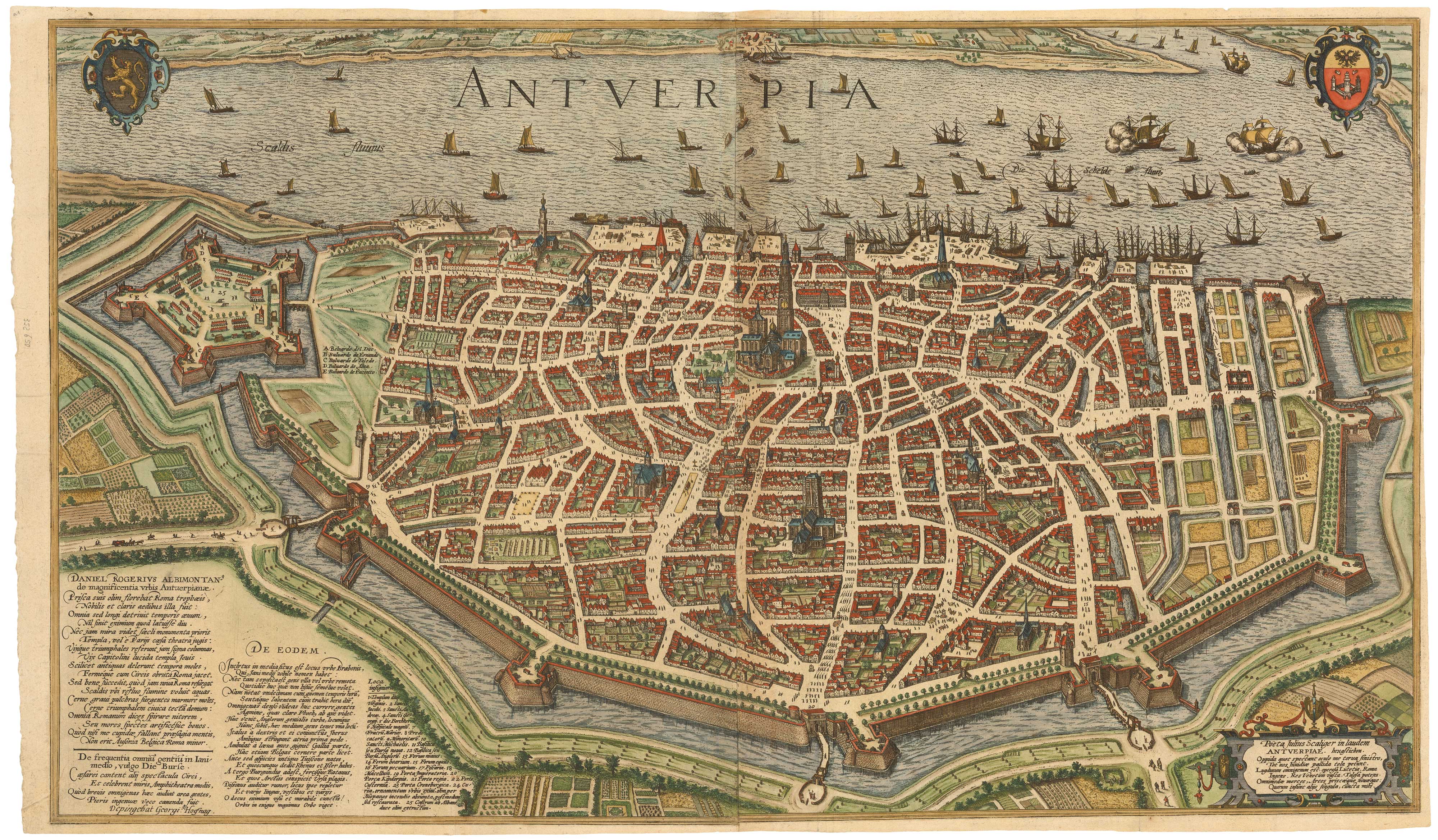 Hoefnagel Antwerp
