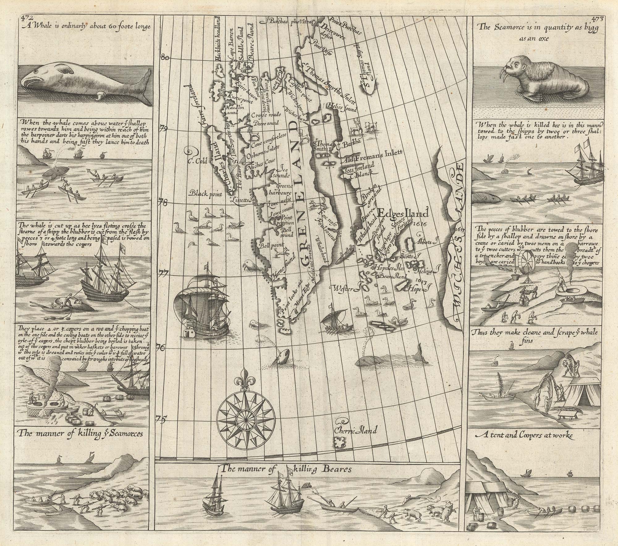 Edge Spitzbergen