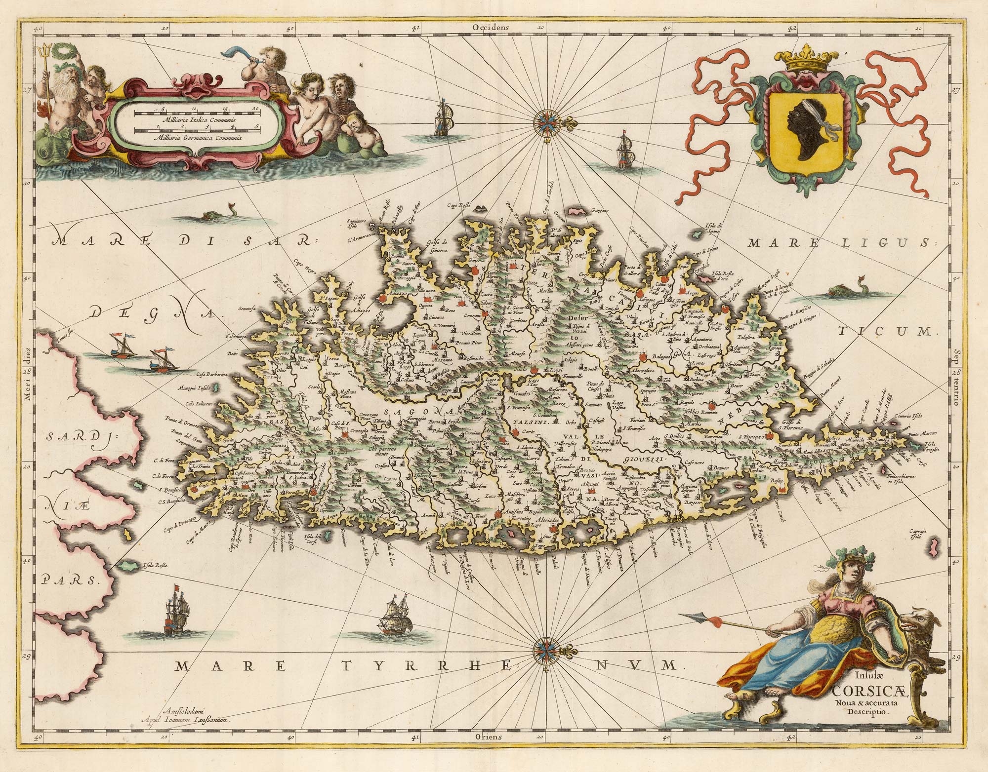 Jansson Corsica