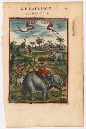 Mallet Elephants