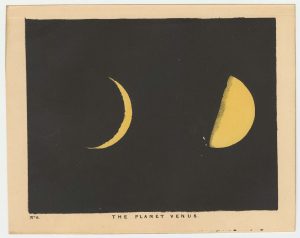 Blunt Venus
