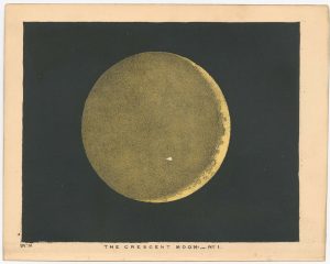 Blunt Crescent Moon