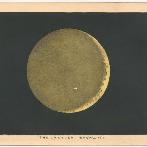 Blunt Crescent Moon