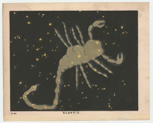 Blunt Scorpio