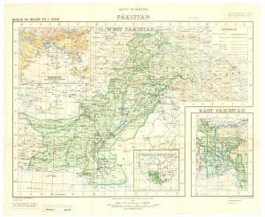 Pakistan Survey