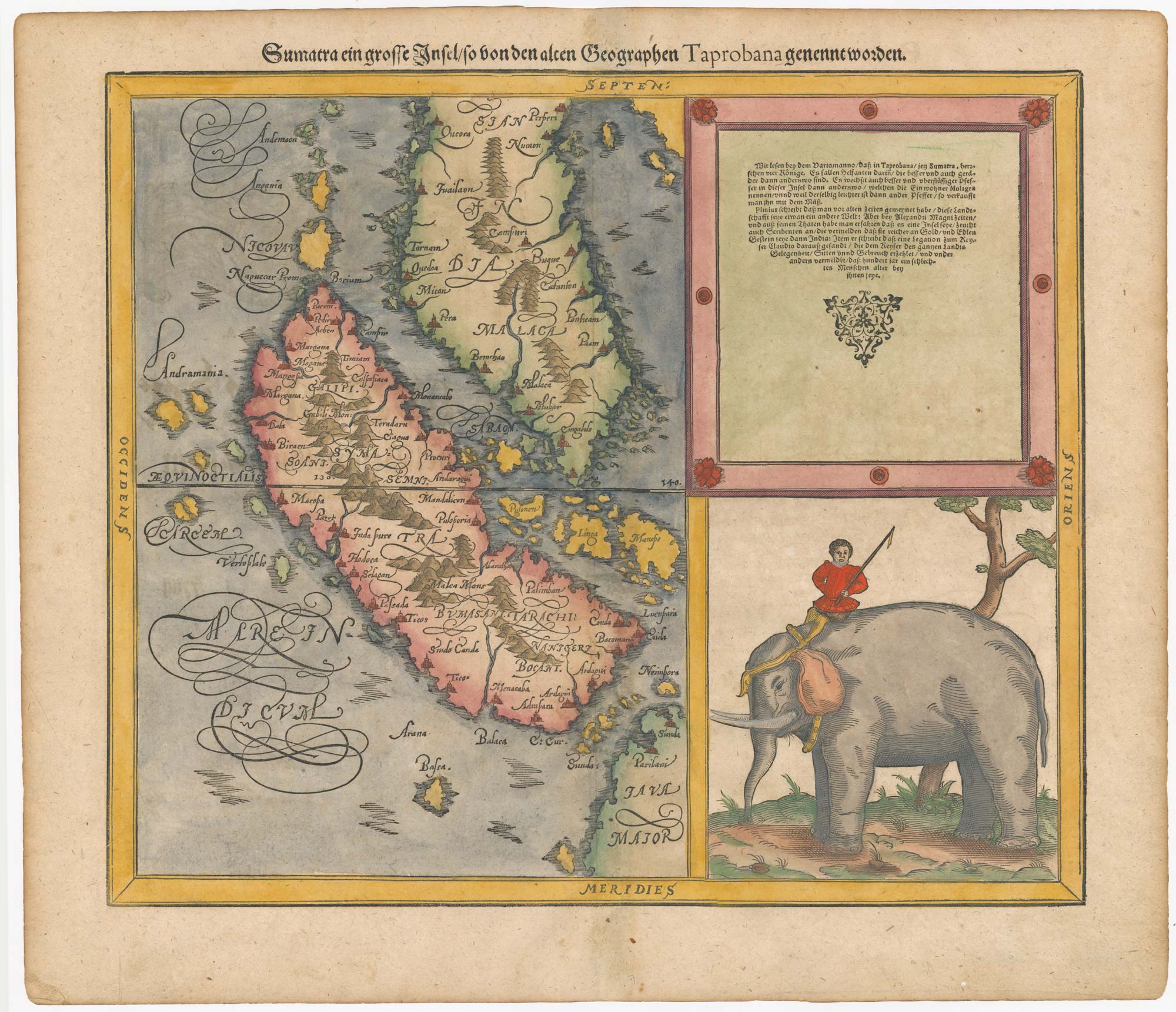Munster Sumatra