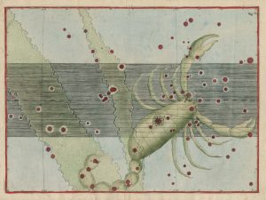 Bayer Scorpio