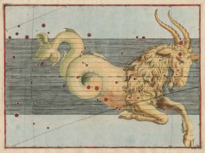 Bayer Capricorn