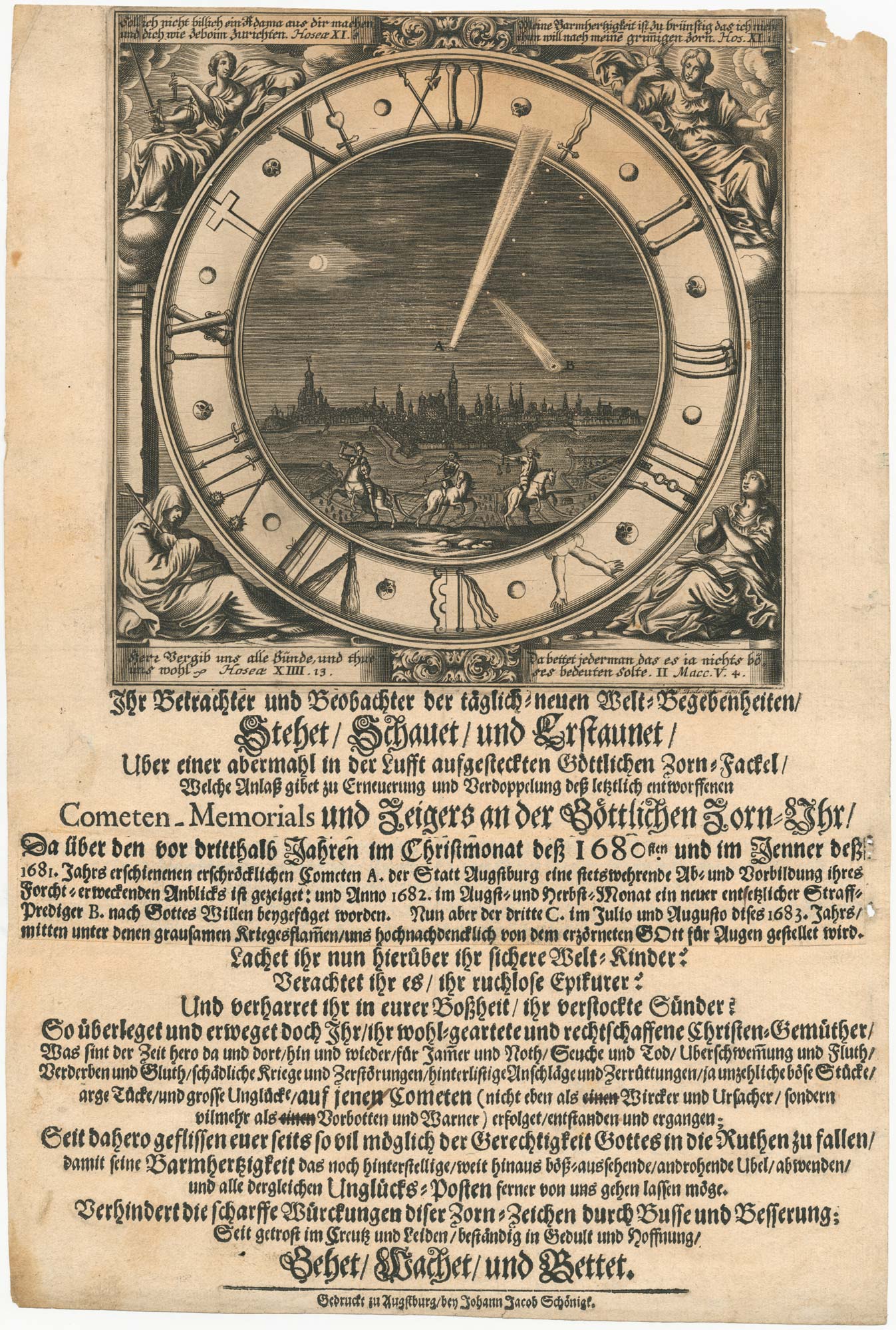 Halley's Comet