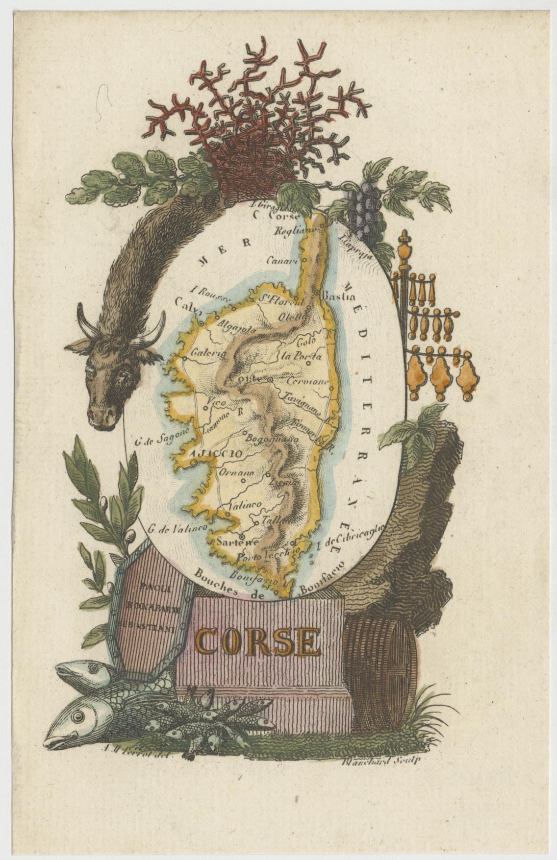 Perrot Corsica