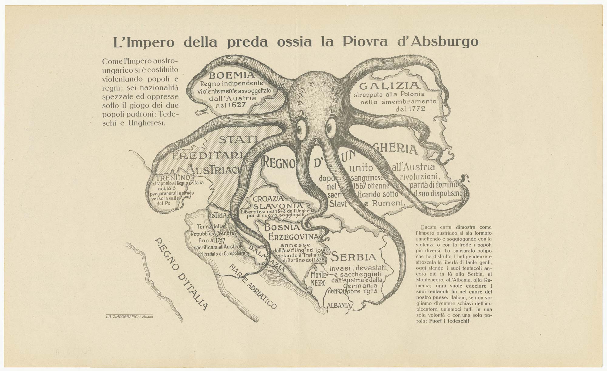 Zincographia Hapsburg Octopus