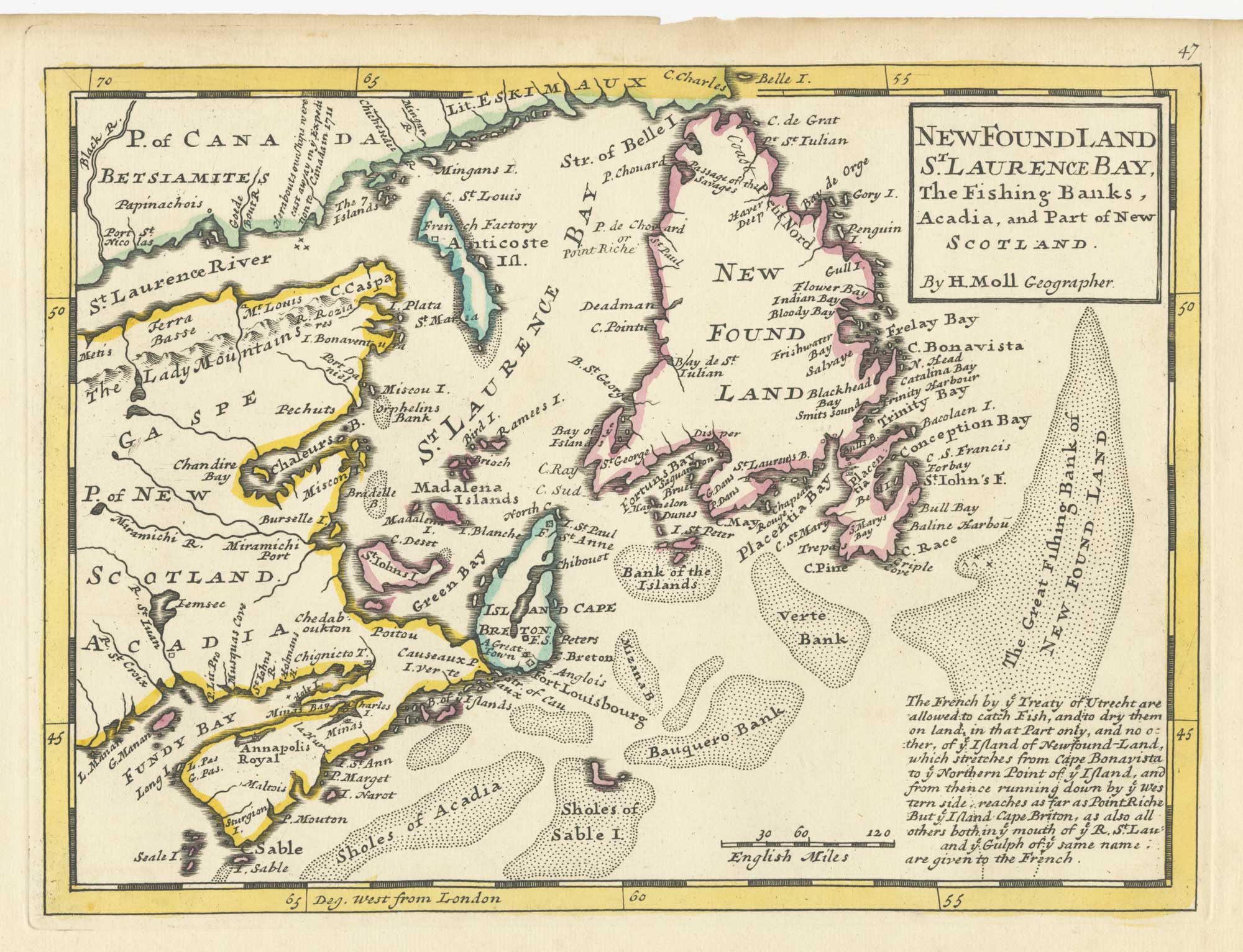 Moll Newfoundland