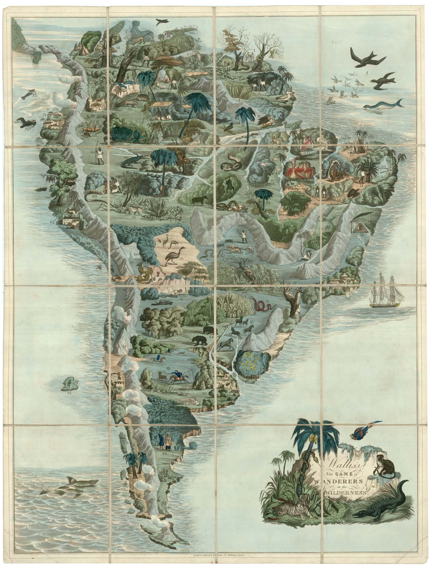 Wallis Wanderers in the Wilderness