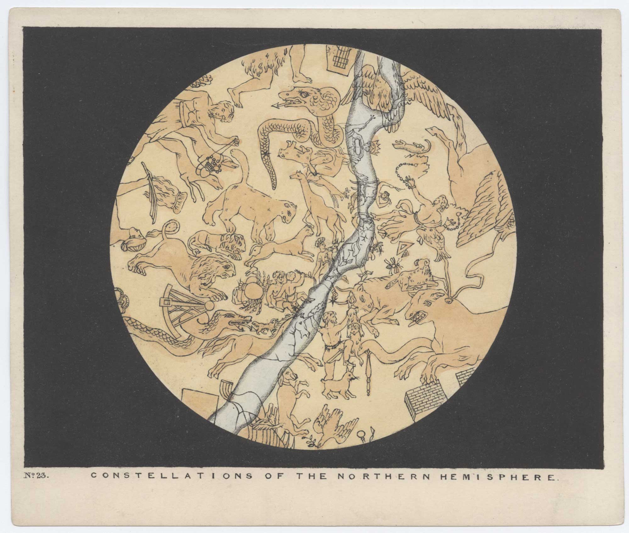 Blunt Northern Constellations