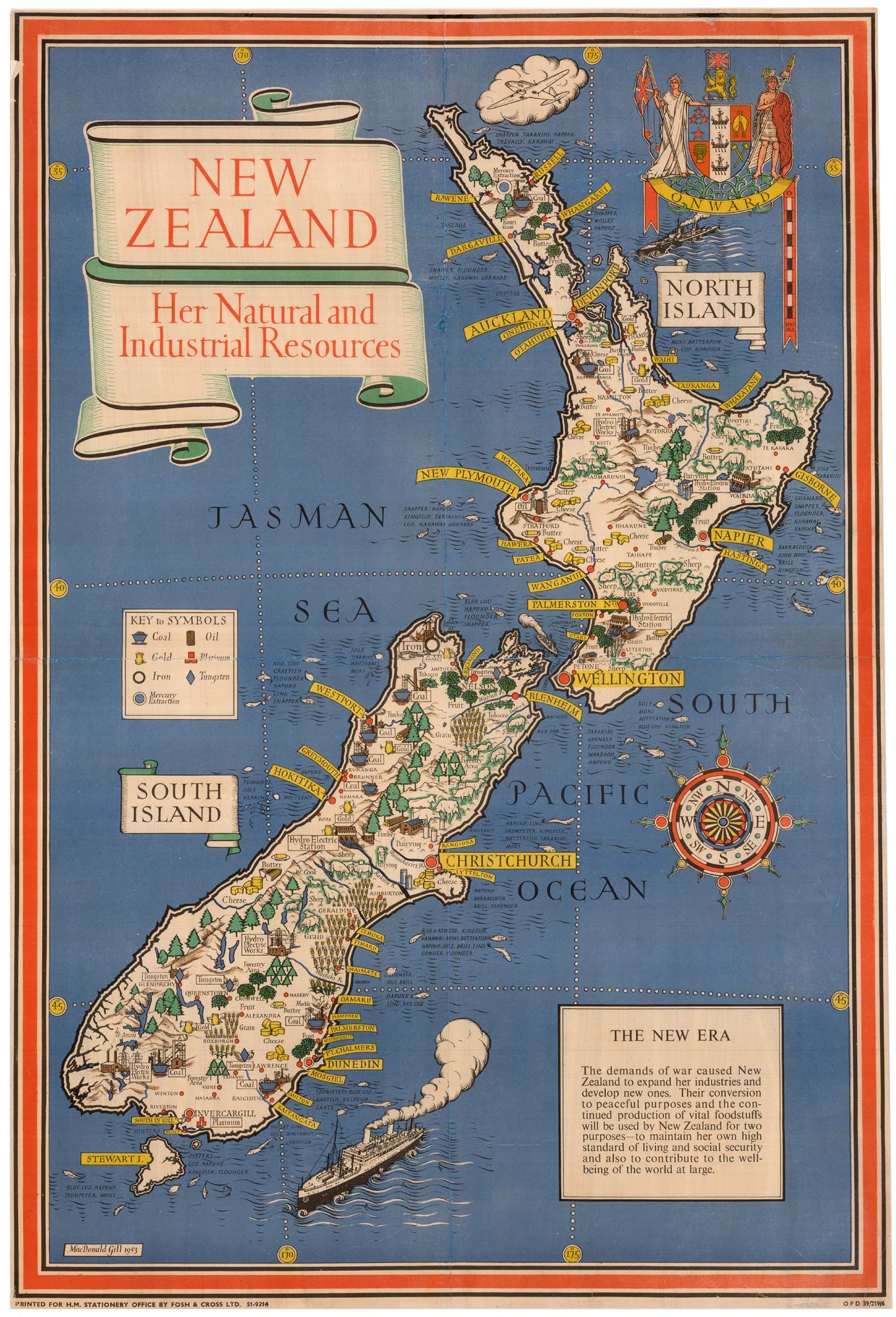 MacDonald Gill New Zealand