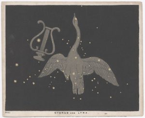 Blunt Cygnus and Lyra