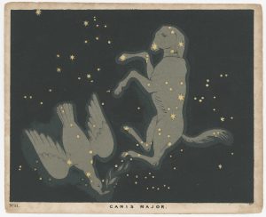 Canis Major. by BLUNT, Charles F., 1845.