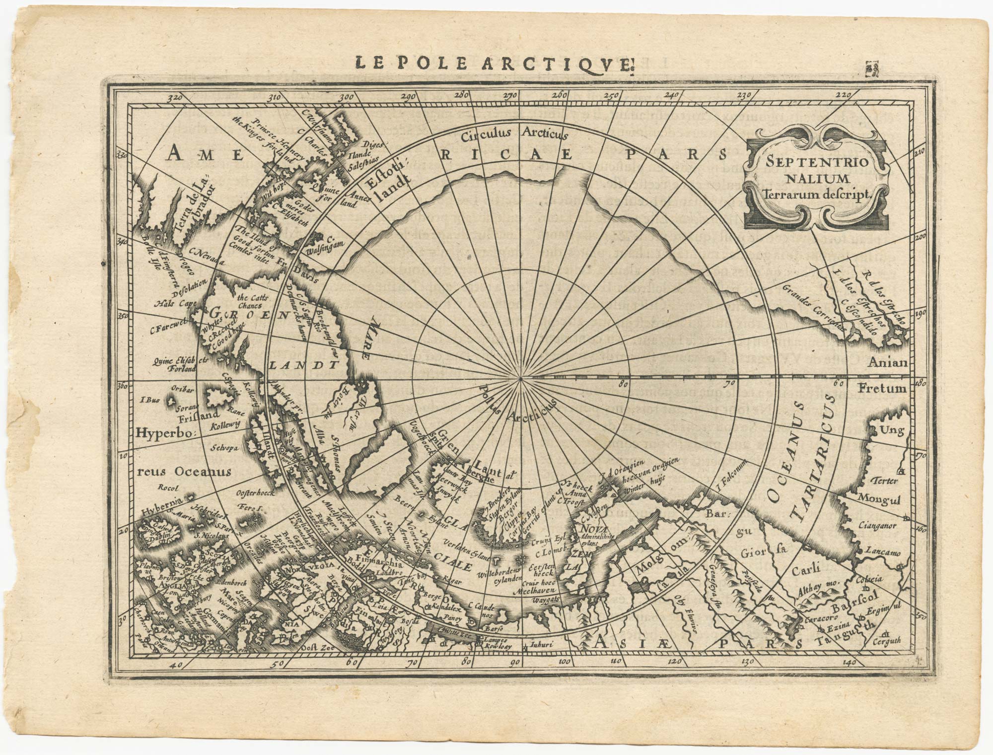 Jansson Arctic miniature