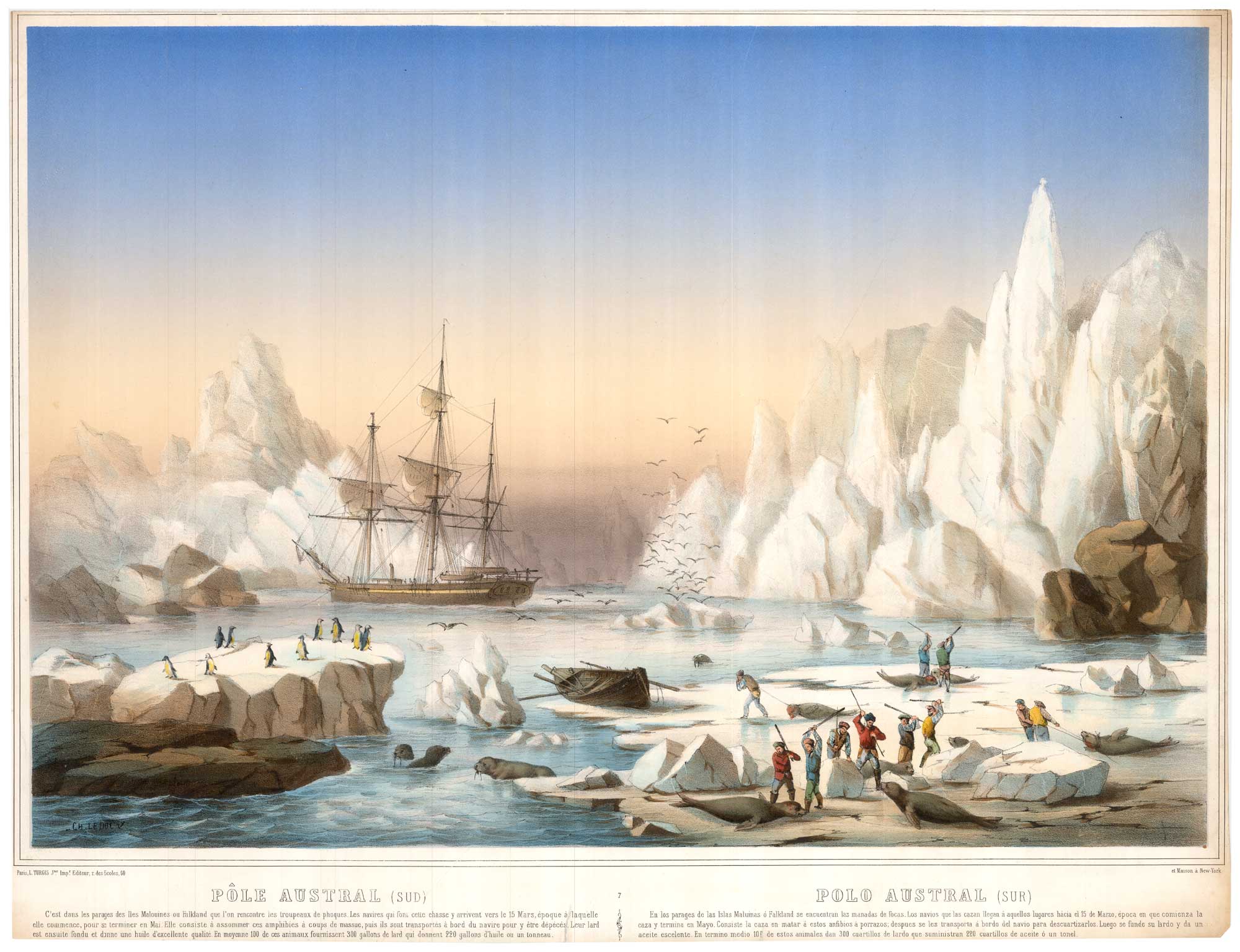Leduc Antarctica