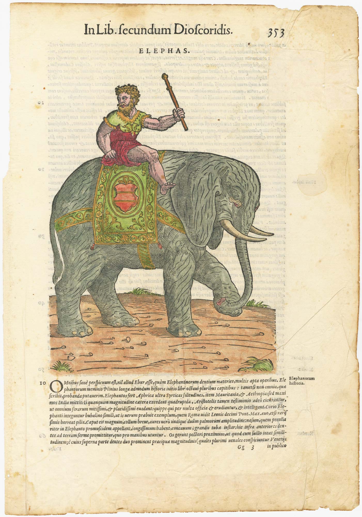 Elephas. by MATTIOLI, Pietro Andrea, 1565.