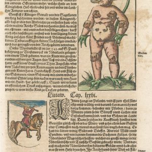 Munster monster of Cracow