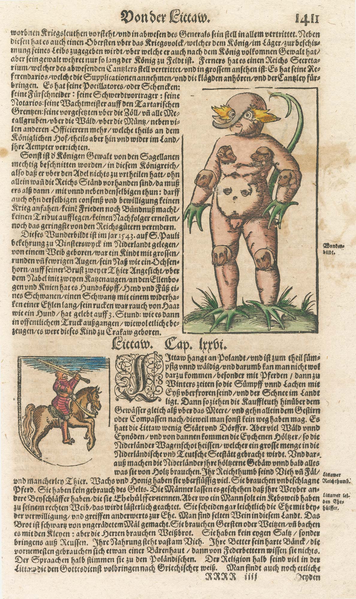 Munster monster of Cracow