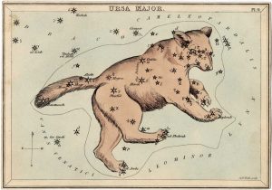 Leigh Ursa Major