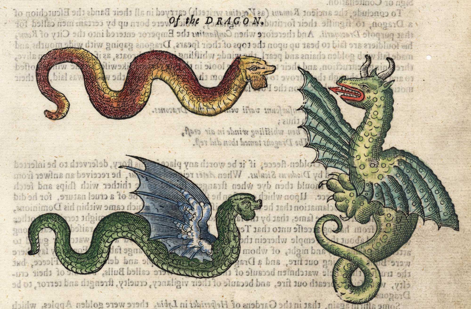 Topsell Dragon