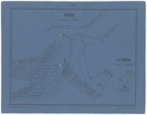 Braun Pegasus and Equuleus