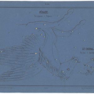 Braun Pegasus and Equuleus