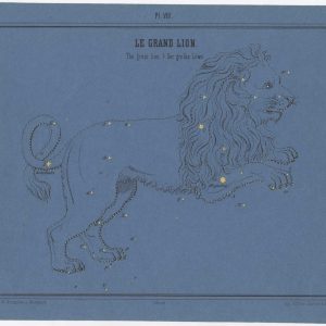 Braun chart of the constellation Leo, 1856