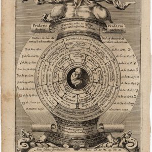 Zahn's 'Foetus in utero' plate