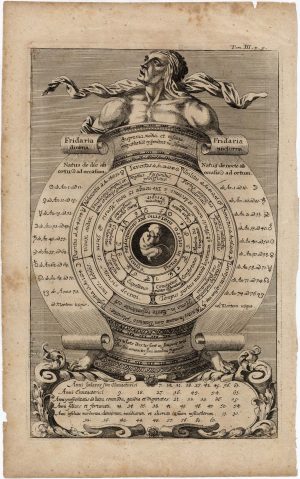 Zahn's 'Foetus in utero' plate
