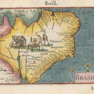 A 16th century miniature map of Brazil