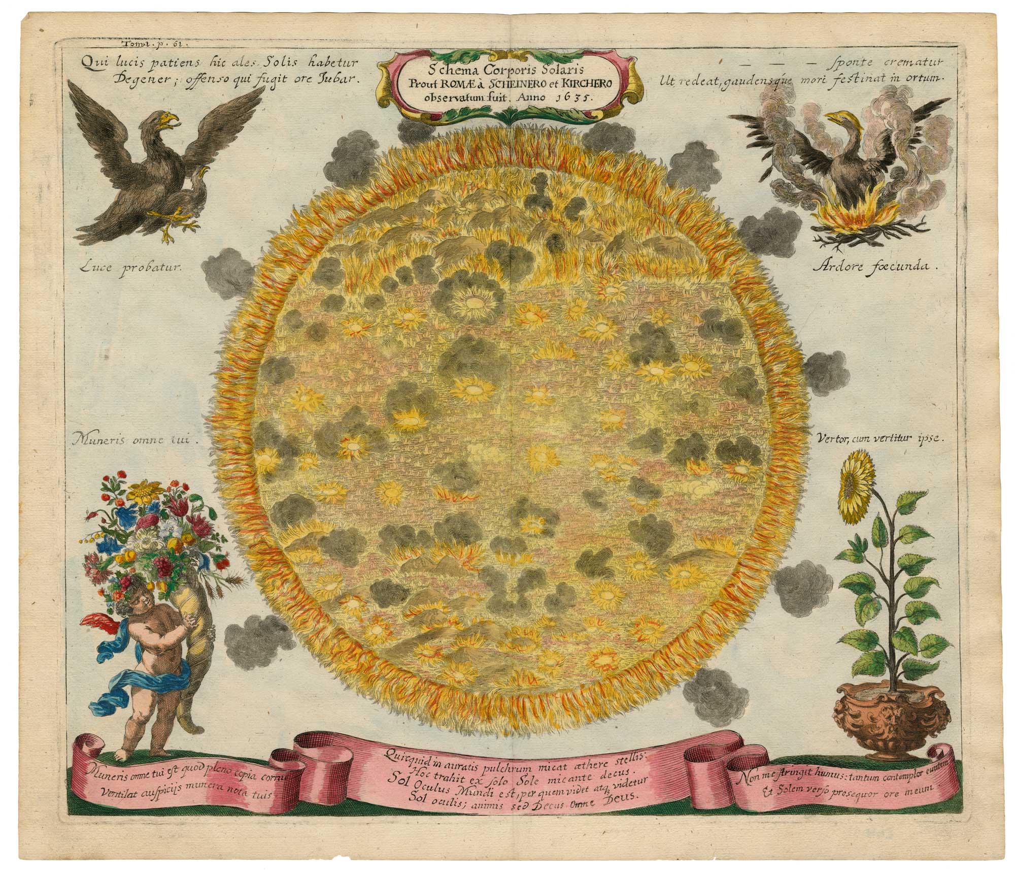 Johann Zahn's map of the Sun, titled: Schema Corporis Solaris Prout Ab Astronomis Hoc Saeculo Per Machinas Helioscopicas Observatum Est.