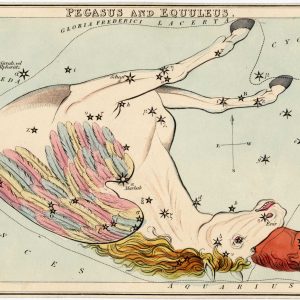 illustration of the constellations Pegasus