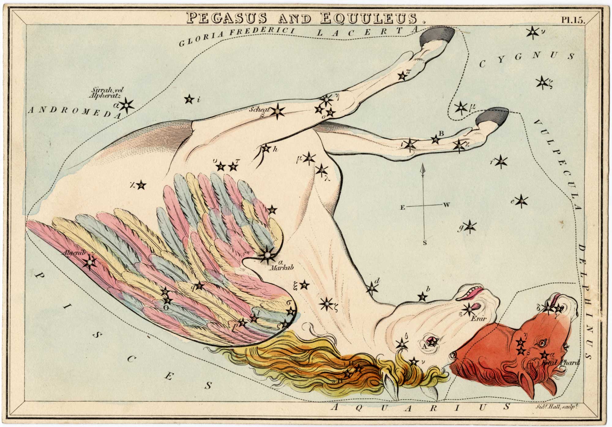 illustration of the constellations Pegasus