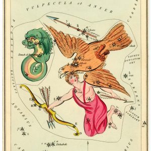 Celestial map of the constellation Aquila