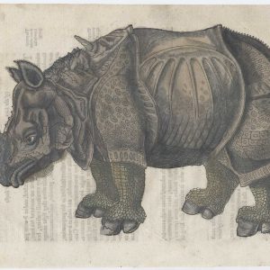 A woodcut illustration of a rhinocerous after Albrecht Dürer