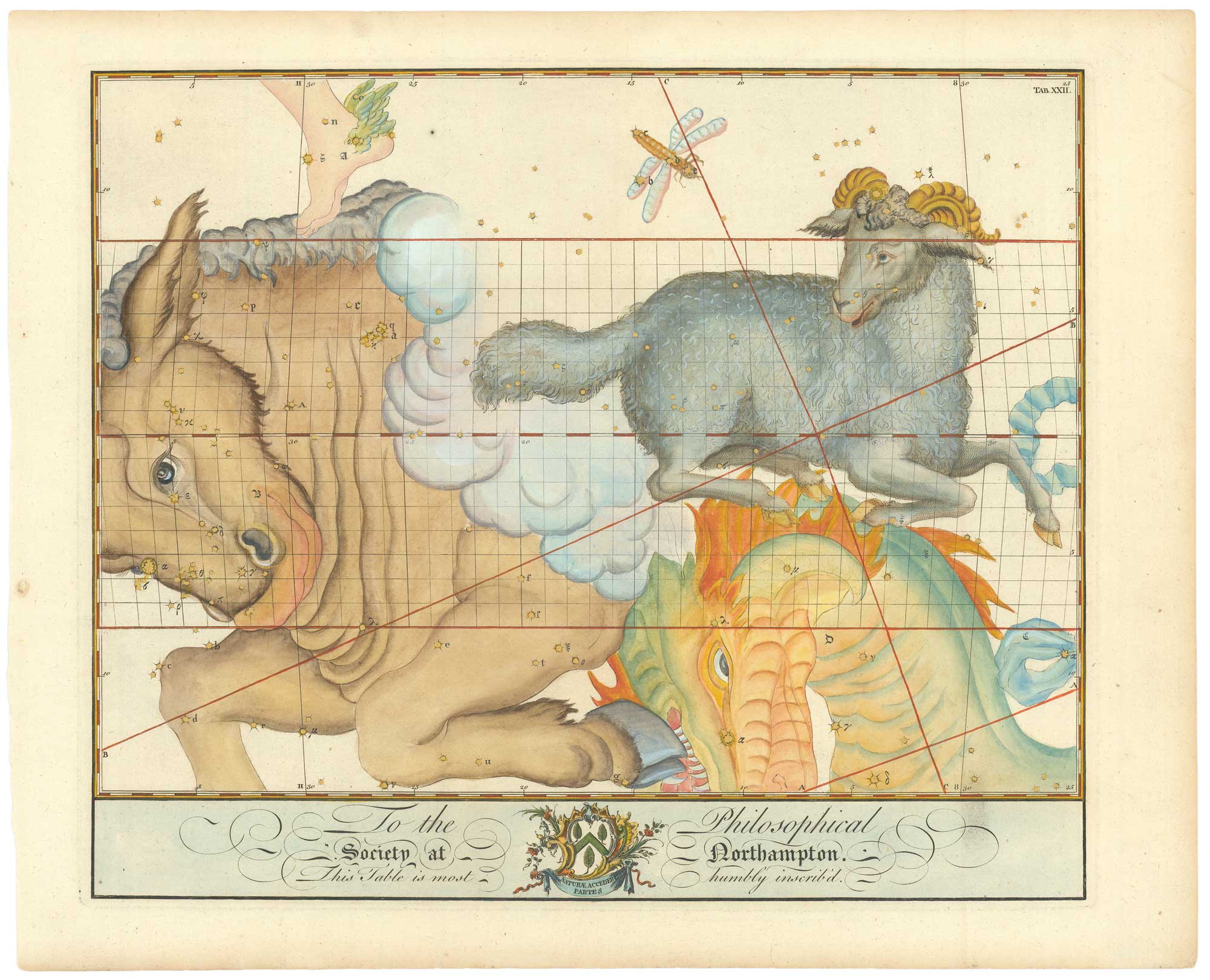 Aries  from Bevis’s unpublished English star atlas