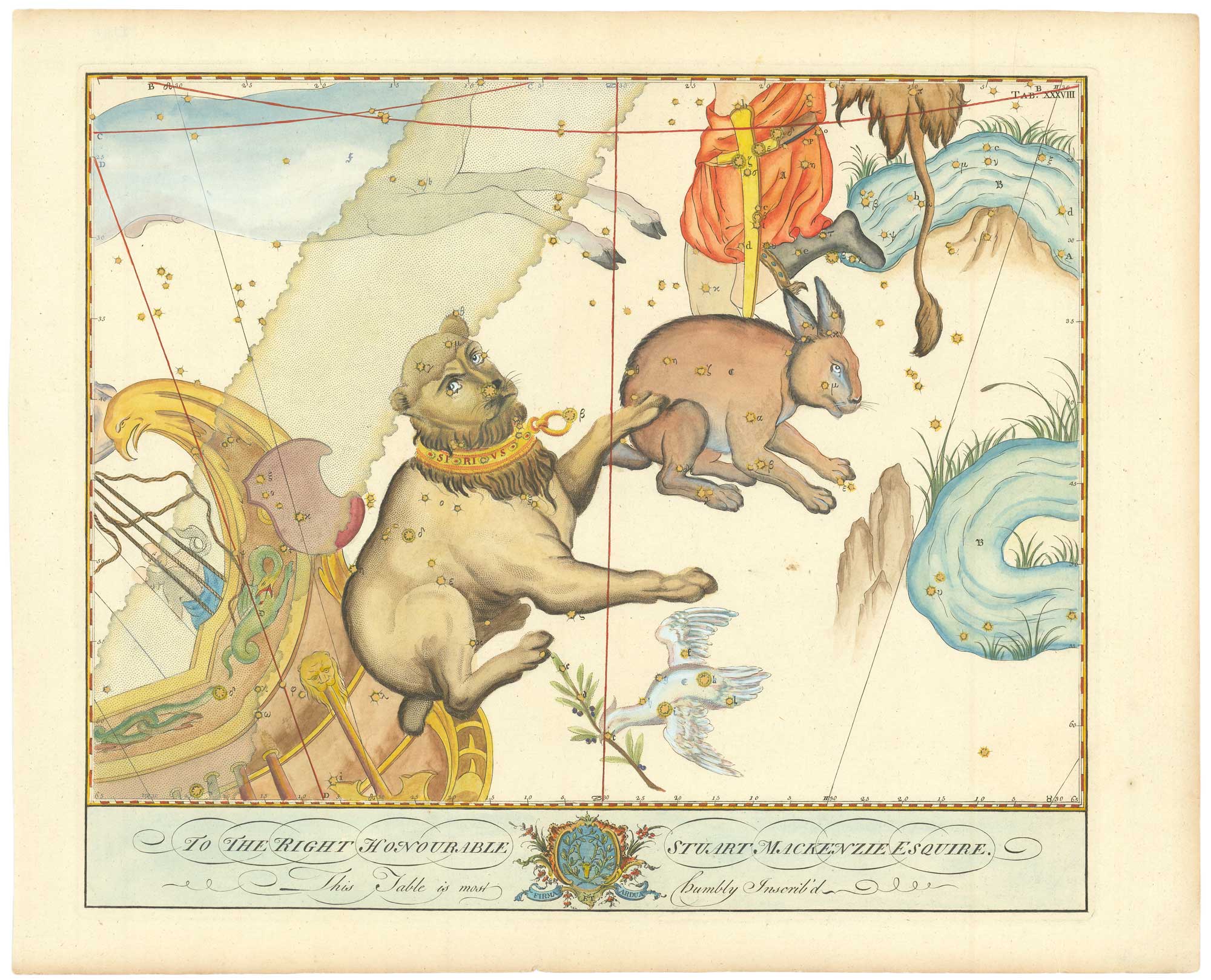 Canis Major  from Bevis’s unpublished English star atlas